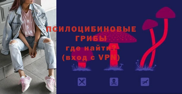 apvp Аркадак