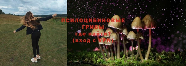 МДМА Арсеньев