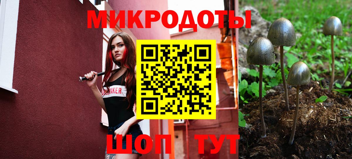 Галлюциногенные грибы Magic Shrooms  Гулькевичи 